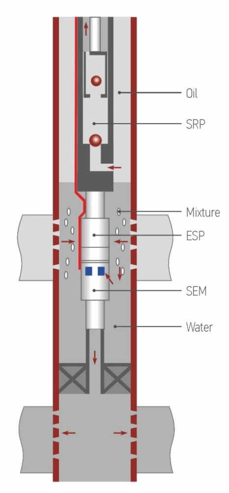 Double-action pumping system with product lifting using SRP and injection of a portion of the associated water using ESP into the underlying intake formation