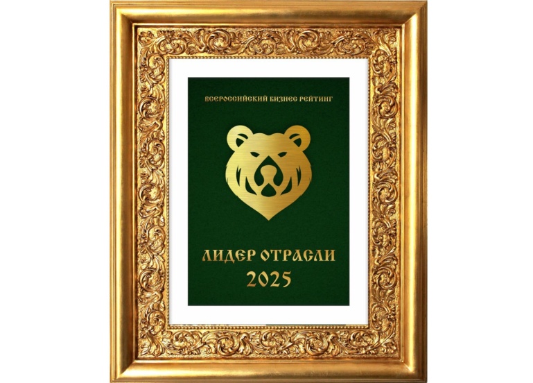 Лидер отрасли 2025